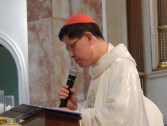Luis Antonio Tagle und die vielen päpstlichen Zeichen des Wohlwollens.