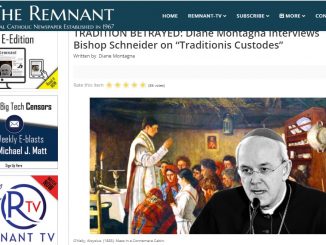 Ein Schatz, welcher seit mindestens tausend Jahren der ganzen Kirche gehört, sei keine Privatsache eines Papstes, über die er frei verfügen könne. Interview mit Weihbischof Athanasius Schneider.