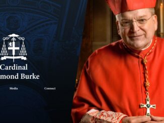 Diese Stunden entscheiden, so dessen Familie, über Leben und Tod von Kardinal Raymond Burke.
