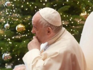 Am 23. Dezember gab Papst Franziskus den Weihnachtsempfang für die in Rom anwesenden Kardinäle und Mitarbeiter der Römischen Kurie. Dabei hielt das Kirchenoberhaupt eine Ansprache, die subtiler war als in den vergangenen Jahren.