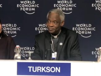 Kardinal Peter Turkson beim Weltwirtschaftsforum in Davos.