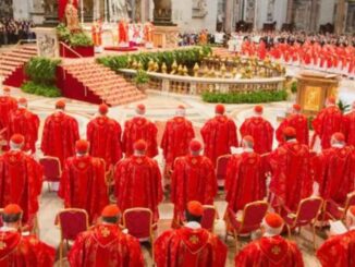 Kommende Woche treten die Kardinäle der Kirche zu einem Konsistorium zusammen, doch Papst Franziskus hat ungewöhnliche Regeln für sie vorgesehen.