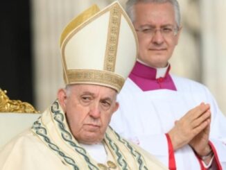 Papst Franziskus verteidigte gestern "leidenschaftlich" die Migration und attackierte damit die demnächst ins Amt tretende neue italienische Regierung.