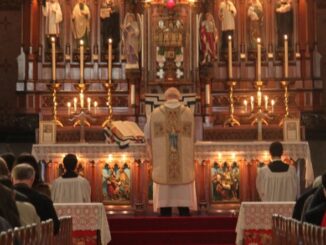 Kardinal Robert Sarah: Es herrscht kein liturgischer Frieden in der Kirche, weil eine Liturgiereform umgesetzt wurde, wie sie das Zweite Vatikanische Konzil so nicht wollte.