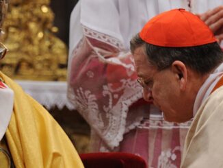 Verleihung der Kardinalswürde durch Papst Benedikt XVI. an Raymond Burke.