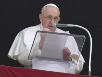 Papst Franziskus gestern beim Angelus am Fenster des Apostolischen Palastes.