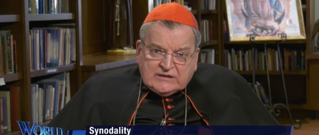 Kardinal Raymond Burke, der vormalige höchste Richter der Kirche nach dem Papst, übte deutliche Kritik an der bevorstehenden Synodalitätssynode, der er "nichts Gutes" abgewinnen könne.