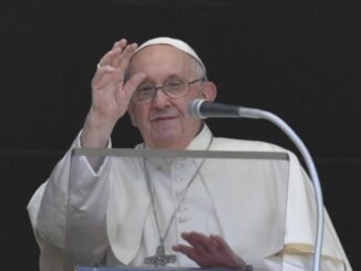 Papst Franziskus beim gestrigen Angelus auf dem Petersplatz