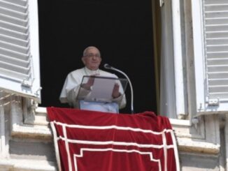 Papst Franziskus beim gestrigen Angelus über die "Veränderung Jesu" und die Starrheit