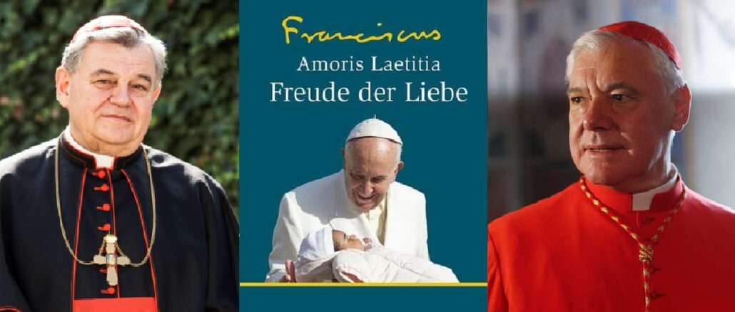 Das umstrittene nachsynodale Schreiben Amoris laetitia von Papst Franziskus sorgt weiterhin für Zweifel, Unsicherheit und Widerspruch. Mit gutem Grund, wie Kardinal Müller ausführt.