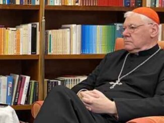 Kardinal Gerhard Müller kritisiert das römische Glaubensdikasterium: Es genüge nicht, Joseph Ratzinger zu zitieren. Man müsse ihn auch richtig interpretieren.