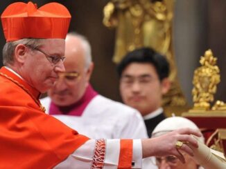 Kardinal Eijk und die niederländischen Bischöfe lehnen Homo-Segnungen ab