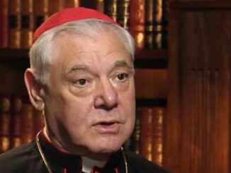 Kardinal Gerhard Müller: "Das ist nicht modern; das ist ein Rückfall in das alte Heidentum"