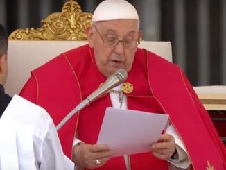 Das neue Gesprächsbuch von Papst Franziskus über sich und Benedikt XVI.: "Lügen, weil man weiß, daß einem nicht widersprochen werden kann"