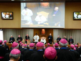 Papst Franziskus traf sich am 20. Mai mit Italiens Bischöfen (Bild). Hat er dabei das eine Wort gesagt oder nicht?