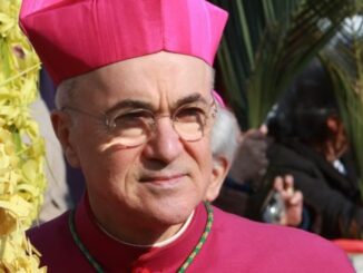 Erzbischof Carlo Maria Viganò, einst die Nummer vier des vatikanischen Staatssekretariats, rechte Hand des Regierungschefs des Vatikanstaates und Botschafter des Heiligen Stuhls in den USA, könnte in wenigen Tagen aus der Kirche ausgeschlossen werden.