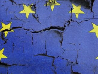 Die EU ging aus den EU-Parlamentswahlen am 10. Juni mit einem blauen Auge hervor