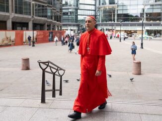 Kardinal Victor Manuel "Tucho" Fernandez am Samstag auf dem Weg in die Kathedrale von Westminster in London