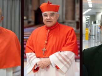 Papst Franziskus stellte Kardinal Tucho Fernández neue Helfer am Glaubensdikasterium zur Seite – allesamt eifrige Bergoglianer