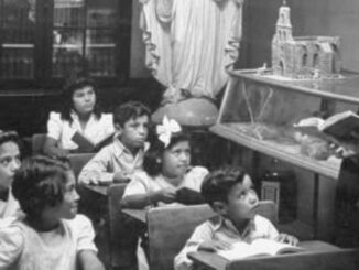 Gibt es überhaupt noch katholische Schulen. Ist es nicht vielmehr so, daß auch an nominell katholischen Schulen das gleiche glaubensferne Programm vermittelt wird?