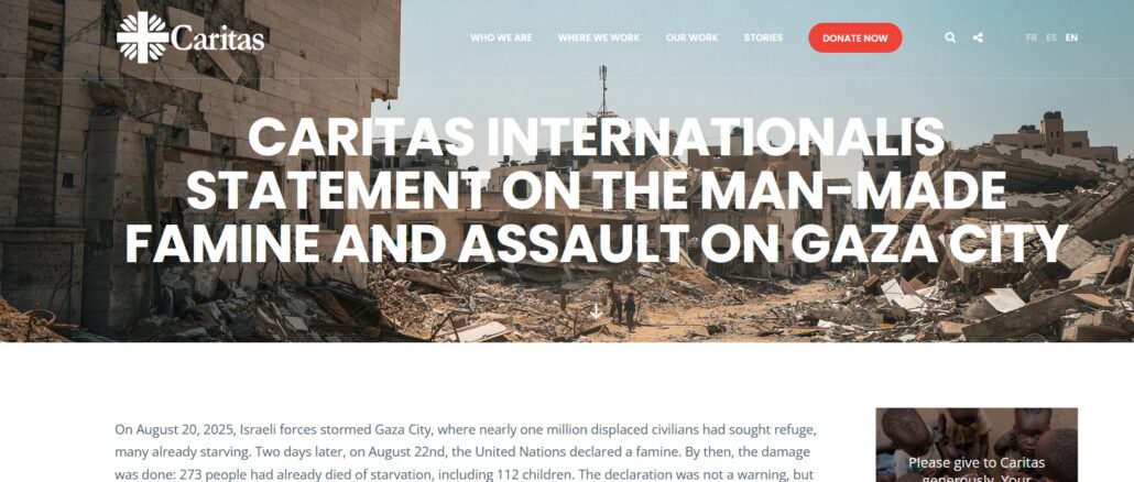 Internetseite von Caritas Internationalis zur Stellungnahme