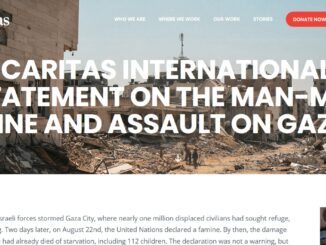 Internetseite von Caritas Internationalis zur Stellungnahme