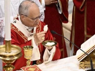 Papst Leo XIV. ist seit bald vier Monaten im Amt. Wie hält er es aber mit dem überlieferten Römischen Ritus und der Versöhung mit der Tradition nach den bergoglianischen Repressionen?