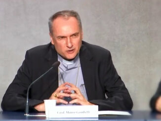 Kardinal Mauro Gambetti, Erzpriester des Petersdoms, mahnte die anderen Kardinäle, keine persönlichen Äußerungen zum überlieferten Ritus zu machen, solange Papst Leo XIV. diesbezüglich keine Entscheidungen trifft