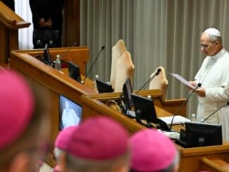 Papst Leo XIV. bei seiner Ansprache an die im vergangenen Jahr neugeweihten Bischöfe