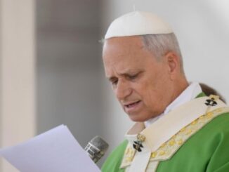 Mit spontanen Interviews folgt Leo XIV. seinem Vorgänger Franziskus – und sorgt für Irritationen