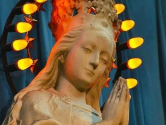 Der Marientitel "Maria Miterlöserin" zur Zeit von Paul VI.