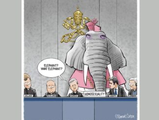 Rosa Elefanten im Raum, die keiner sehen will