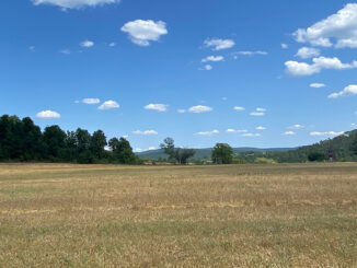 Links der Montesiepi, auf den sich der heilige Galganus zurückzog und 1181 starb, rechts die Ruinen der Zisterzienserabtei