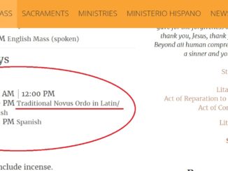 Traditionelle lateinische Messe im Novus Ordo in Tennessee