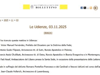 Zwei ultraprogressive Bergoglianer wurden gestern von Papst Leo XIV. in Audienz empfangen