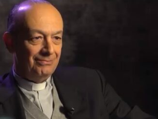 Don Maurizio Gronchi gab Hintergründe zur Entstehung der lehrmäßigen Note Mater populi fidelis preis, die irritieren