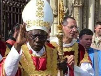 Wenn der Papst authentische Vertreter der Tradition kennenlernen möchte, sollte er die Organisatoren der bedeutendsten Wallfahrten nach Chartres, Covadonga, Lujan und Rom einladen. Im Bild Kardinal Robert Sarah in Chartres.