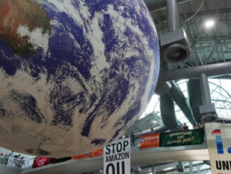 Klimagipfel COP30 in Brasilien: Die Fähigkeit, an der Realität vorbeizuleben.