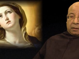 Der Servitenpater Salvatore Perrella, Dogmatiker und Mariologe, kritisiert die neue lehrmäßige Note Mater populi fidelis, die erhebliche Unausgewogenheiten aufweise.