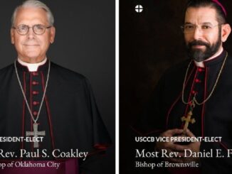 Die US-Bischofskonferenz hat für die kommenden drei Jahre eine neue Führungsspitze. Gilt weiterhin, daß der Stellvertreter in drei Jahren der nächste Vorsitzende wird, wurden weitreichende Weichen gestellt