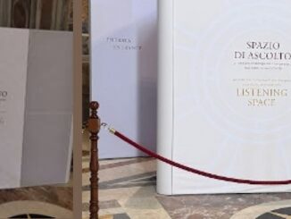 Im Petersdom sind "Zuhörräume", vergleichbar Kabinen, aufgetaucht. Als Ersatz für die Beichtstühle?