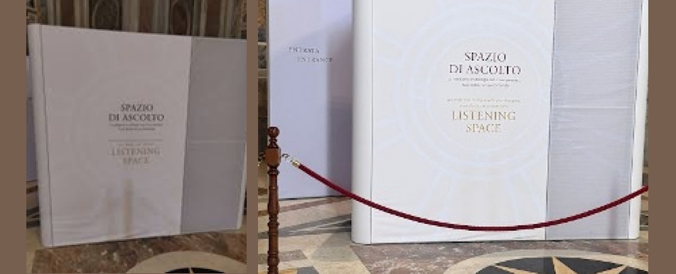 Im Petersdom sind "Zuhörräume", vergleichbar Kabinen, aufgetaucht. Als Ersatz für die Beichtstühle?