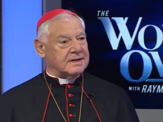 Papst Leo XIV. will einen starken Versuch unternehmen, die Kirche zu einen. Kardinal Müller stellte in diesem Zusammenhang klar, wer die Kirche wirklich spalte.