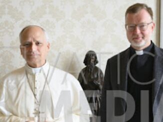 Am Freitag wurde P. Hans Zollner SJ von Papst Leo XIV. in Audienz empfangen und dabei ging es sicher auch um die Mißbrauchsfrage