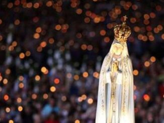 Warum genau wurde im Pontifikat von Franziskus soviel Aufwand betrieben, das Phänomen "Marienerscheinungen" unter Kontrolle zu bringen?