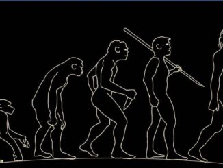 Das Paradox des "modernen" Denkens: Die Evolutionstheorie gilt als allgemein anerkannt, obwohl noch kein Beweis für ihre Echtheit erbracht werden konnte. Ihr Zweck lag von Anfang an darin, sich des Schöpfergottes zu entledigen und dies "wissenschaftlich" zu bemänteln.