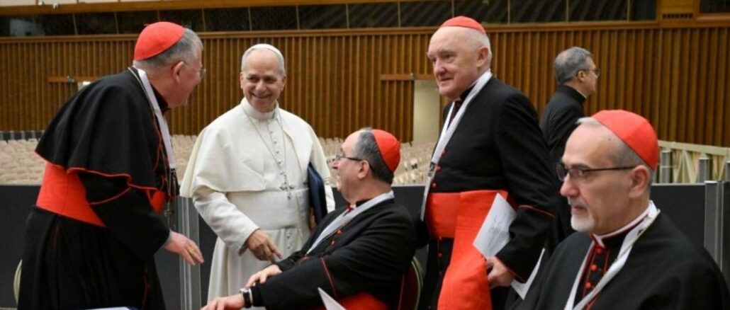 Papst Leo XIV. mit Kardinälen bei den Arbeiten des Konsistoriums in der großen Audienzhalle