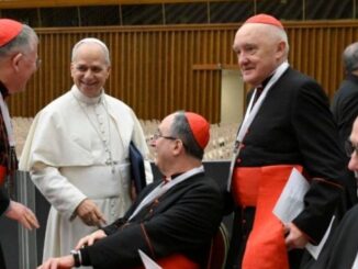 Papst Leo XIV. mit Kardinälen bei den Arbeiten des Konsistoriums in der großen Audienzhalle