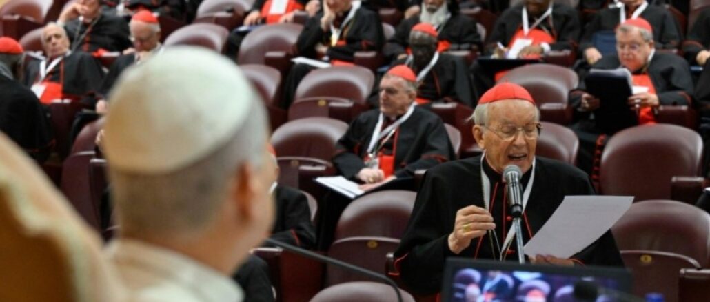 Papst Leo XIV. bemühte sich, den Kardinälen zuzuhören, von denen allerdings erwartungsgemäß nur sehr wenige zu Wort kamen, und die Einheit zu betonen. Doch welche Akzente setzte er insgesamt?