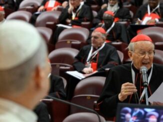 Papst Leo XIV. bemühte sich, den Kardinälen zuzuhören, von denen allerdings erwartungsgemäß nur sehr wenige zu Wort kamen, und die Einheit zu betonen. Doch welche Akzente setzte er insgesamt?